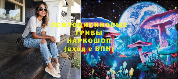 дживик Осташков