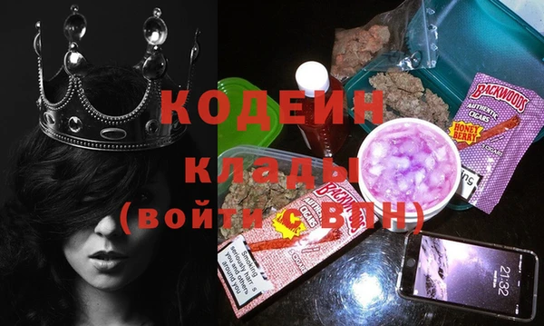 шишки Осинники