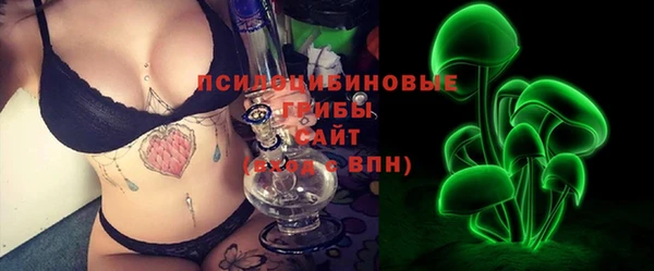 дживик Осташков