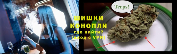 шишки Осинники