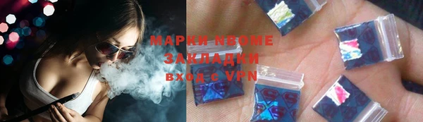 шишки Осинники