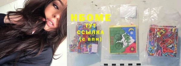 шишки Осинники