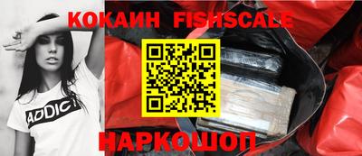прущие грибы Гатчина