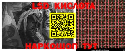 прущие грибы Гатчина