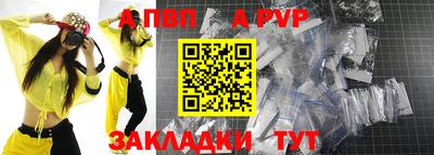 прущие грибы Гатчина