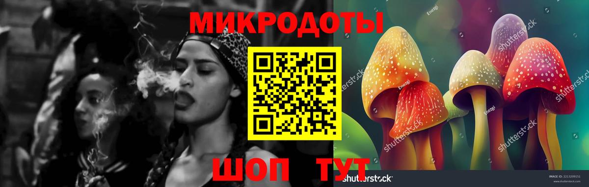 Галлюциногенные грибы MAGIC MUSHROOMS  Вход с VPN  Новый Уренгой  Галлюциногенные грибы Psilocybe 